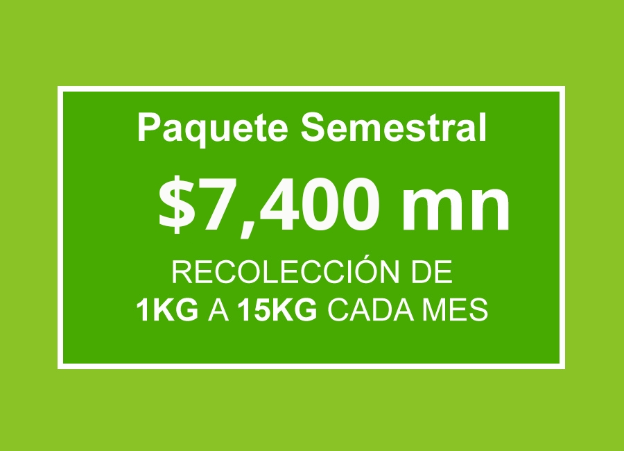 Paquete semestral $7,400 (IVA Incluido)