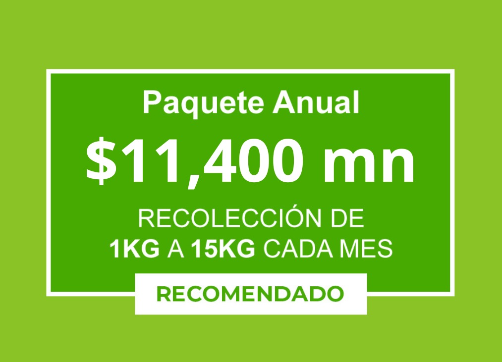 Paquete anual $11,400 (IVA Incluido)